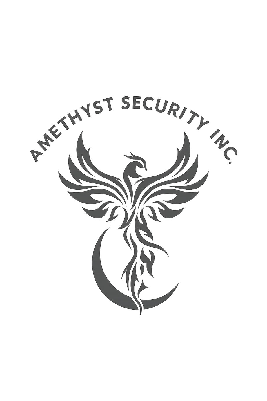 Amethyst Security Inc
